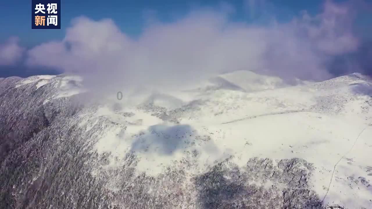 召唤神龙万宁版祖龙
