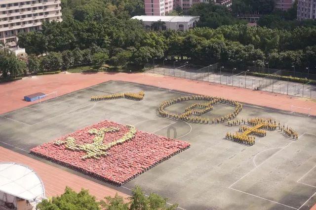 虫虫助手下载
