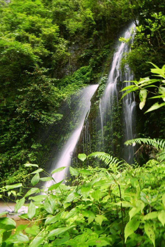 沪江开心词场