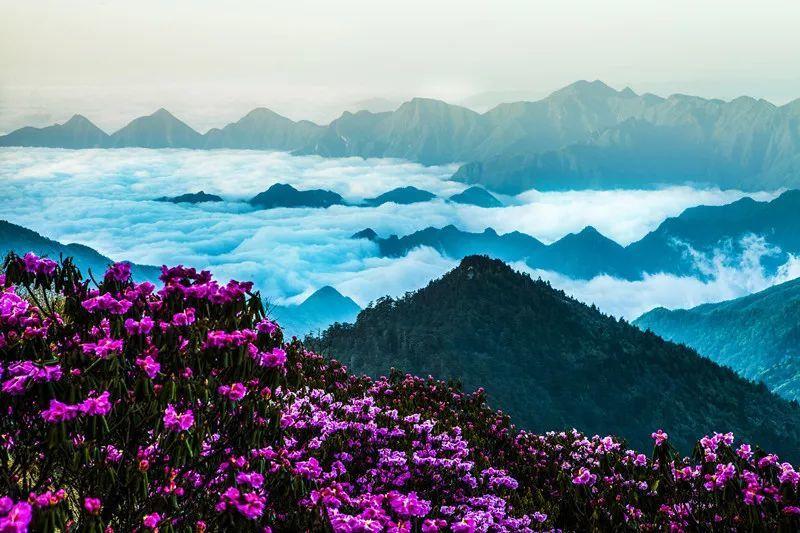 发现古老遗迹