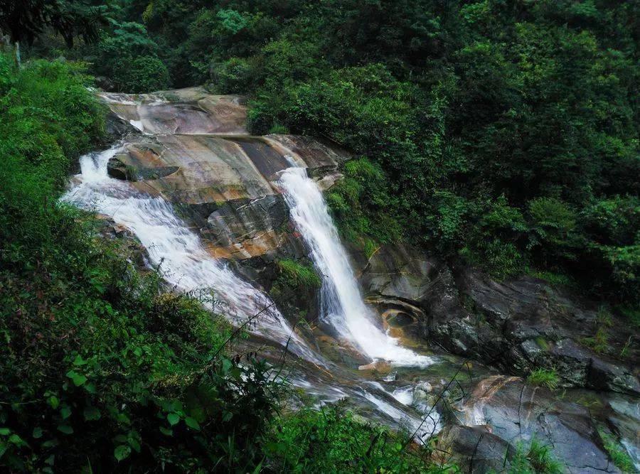 大老虎在水里泡澡,还抱住球防止自己沉下去